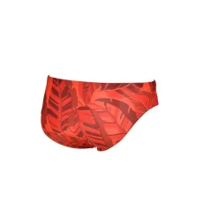Arena Tropicals Brief